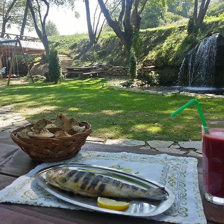 Gradac Gradacka Banja Brvnare公寓 外观 照片