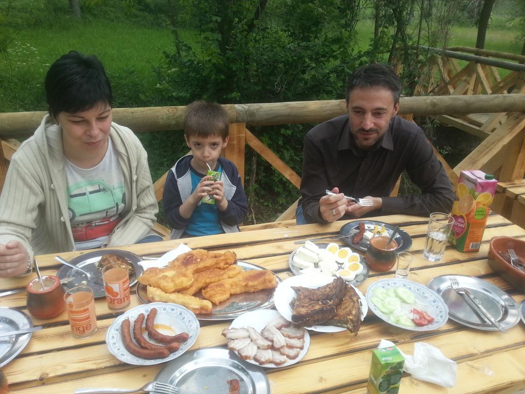 Gradac Gradacka Banja Brvnare公寓 外观 照片