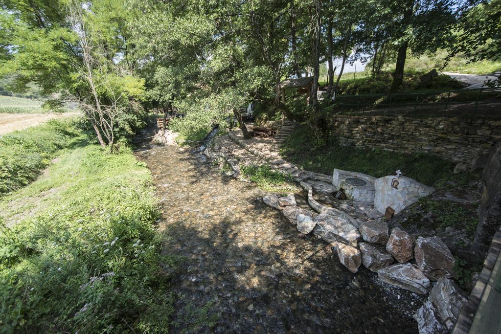 Gradac Gradacka Banja Brvnare公寓 外观 照片