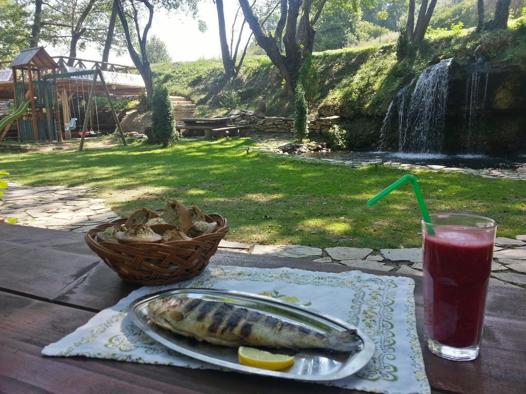 Gradac Gradacka Banja Brvnare公寓 外观 照片